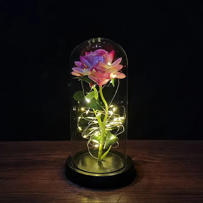 Valentines Day Gift for Girlfriend Eternal Rose LED Light Foil Flower In Cover Mothers Day Wedding favors Bridesmaid Gift