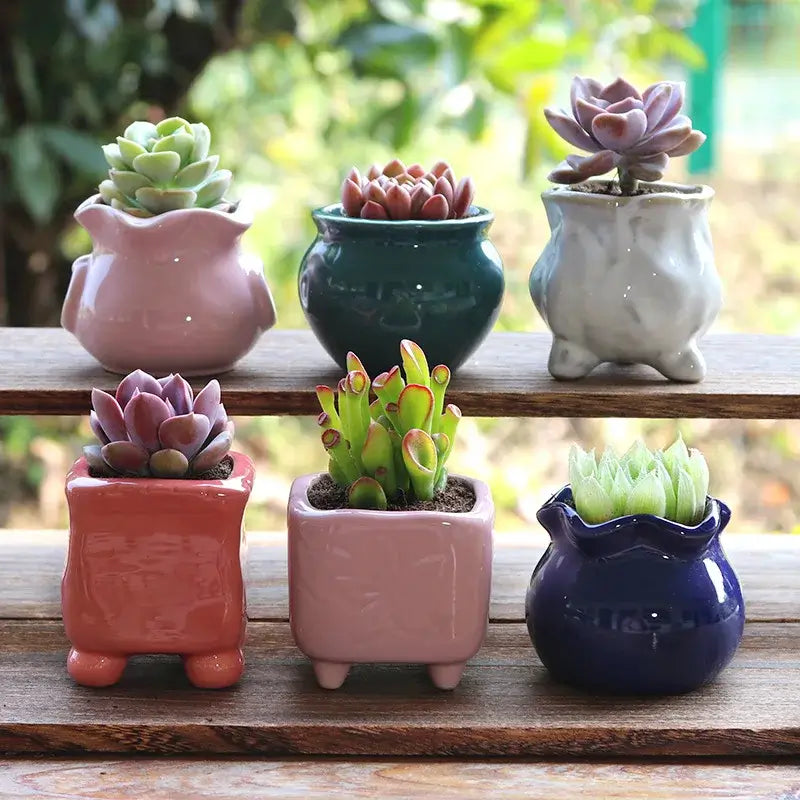 Succulent Pot Ceramic Thumb Mini Plant Flower Pot Personality Creative Pot Retro Simple Succulent Flowerpot Basin Pot Combinatio