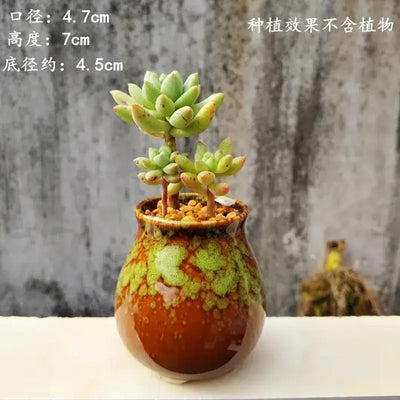 Succulent Pot Ceramic Thumb Mini Plant Flower Pot Personality Creative Pot Retro Simple Succulent Flowerpot Basin Pot Combinatio