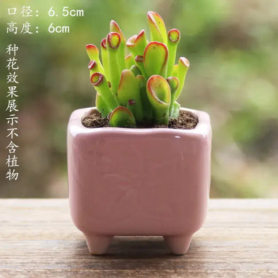 Succulent Pot Ceramic Thumb Mini Plant Flower Pot Personality Creative Pot Retro Simple Succulent Flowerpot Basin Pot Combinatio