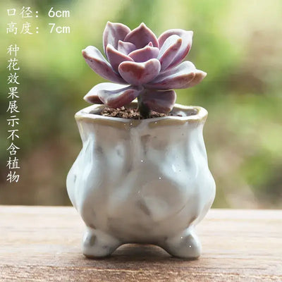 Succulent Pot Ceramic Thumb Mini Plant Flower Pot Personality Creative Pot Retro Simple Succulent Flowerpot Basin Pot Combinatio