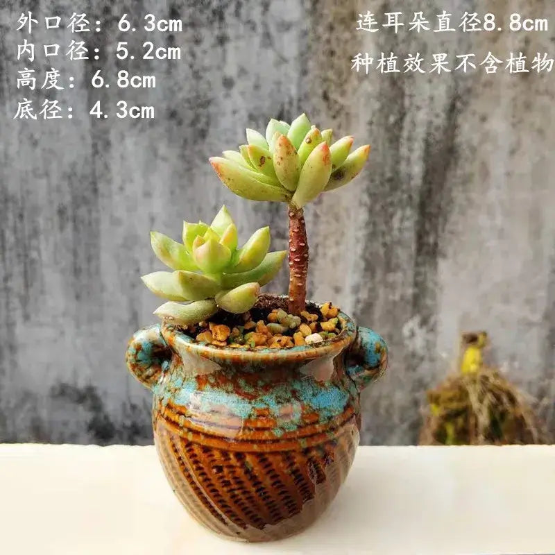 Succulent Pot Ceramic Thumb Mini Plant Flower Pot Personality Creative Pot Retro Simple Succulent Flowerpot Basin Pot Combinatio