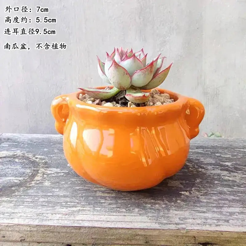 Succulent Pot Ceramic Thumb Mini Plant Flower Pot Personality Creative Pot Retro Simple Succulent Flowerpot Basin Pot Combinatio