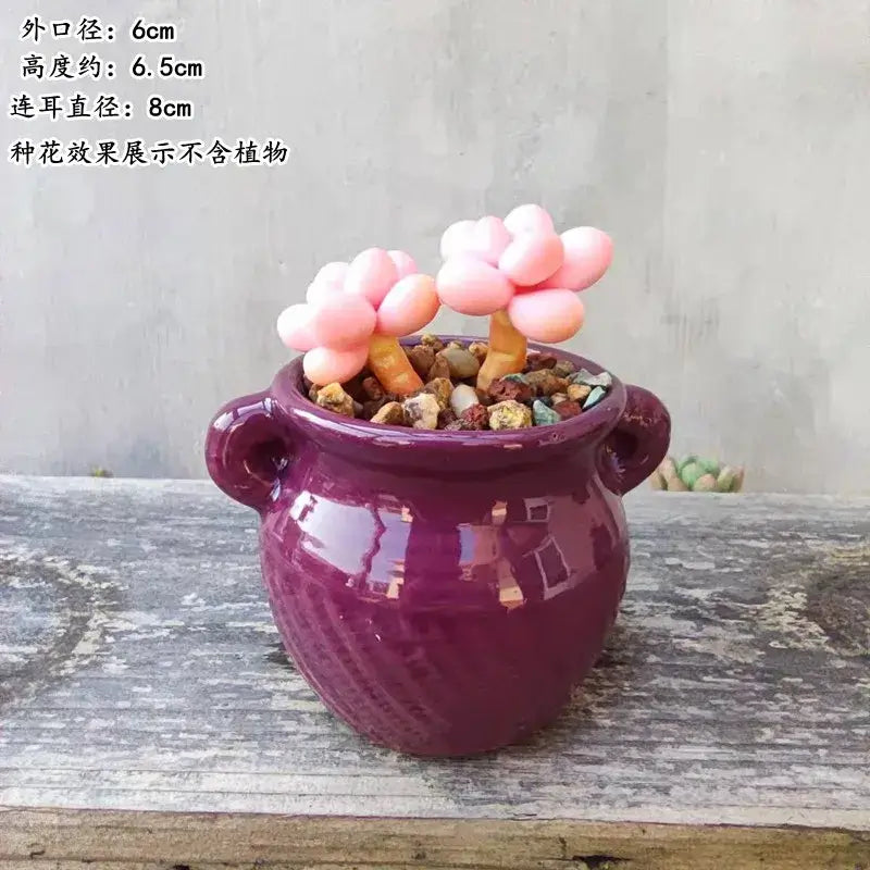 Succulent Pot Ceramic Thumb Mini Plant Flower Pot Personality Creative Pot Retro Simple Succulent Flowerpot Basin Pot Combinatio