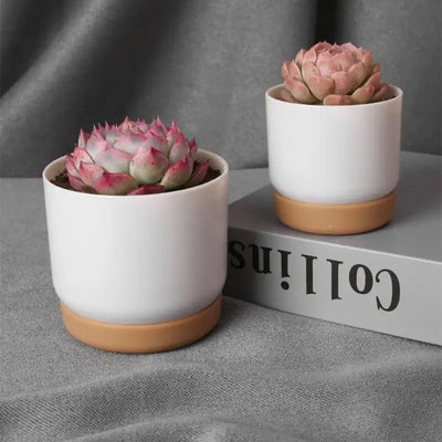 Small White Ceramic Planter Mini Flower Containers Indoor with Drainage Hole for Succulents or Cactus -Large/Small